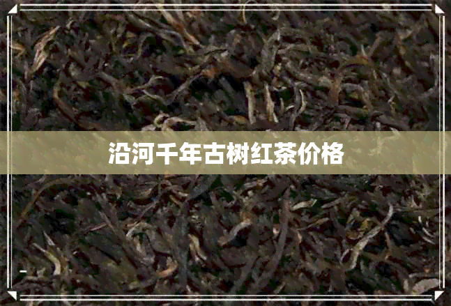 沿河千年古树红茶价格