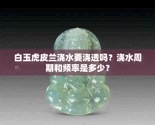 白玉虎皮兰浇水要浇透吗？浇水周期和频率是多少？