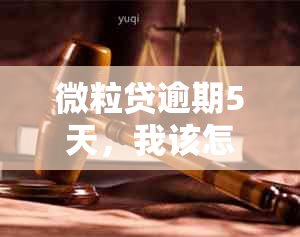 微粒贷逾期5天，我该怎么办？逾期后的罚息计算方式、后果及解决方法一览