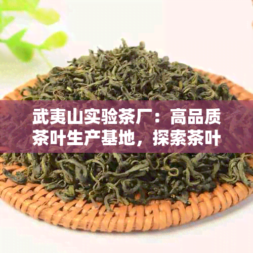 武夷山实验茶厂：高品质茶叶生产基地，探索茶叶制作工艺与历文化