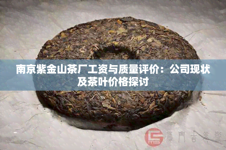 南京紫金山茶厂工资与质量评价：公司现状及茶叶价格探讨