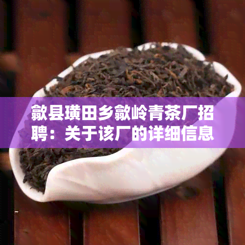 歙县璜田乡歙岭青茶厂招聘：关于该厂的详细信息和联系方式。