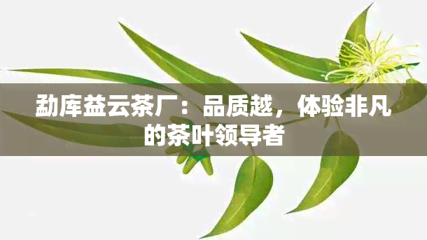 勐库益云茶厂：品质越，体验非凡的茶叶领导者