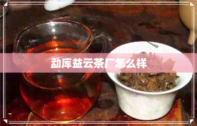 勐库益云茶厂怎么样