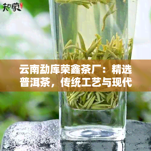 云南勐库荣鑫茶厂：精选普洱茶，传统工艺与现代科技的完美融合