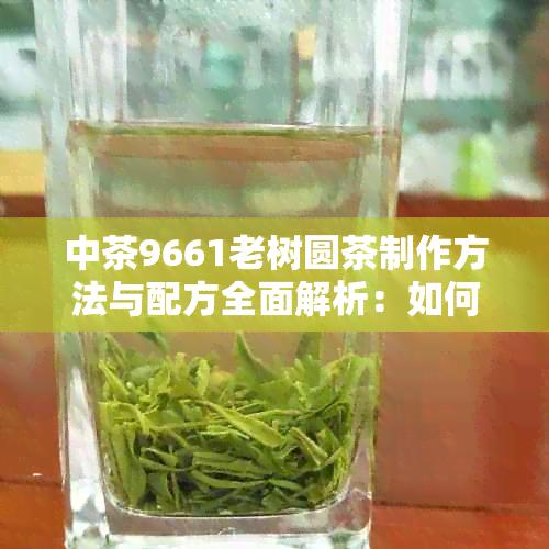 中茶9661老树圆茶制作方法与配方全面解析：如何品鉴和冲泡这款特色茶叶？