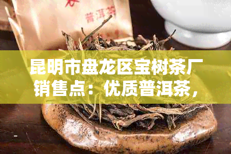 昆明市盘龙区宝树茶厂销售点：优质普洱茶，古树茶，云南茶叶供应商及零售商