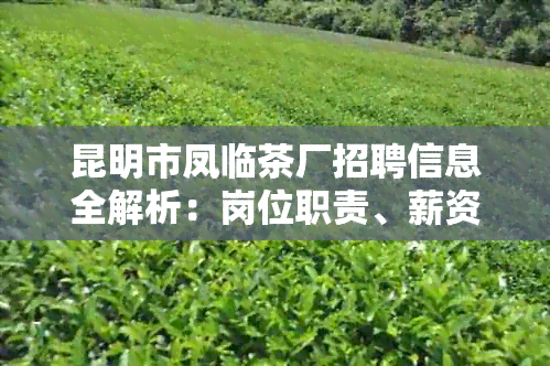 昆明市凤临茶厂招聘信息全解析：岗位职责、薪资待遇、福利条件一应俱全！