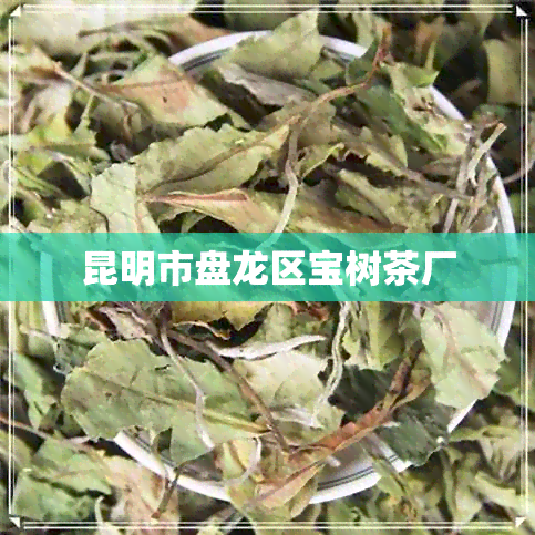 昆明市盘龙区宝树茶厂