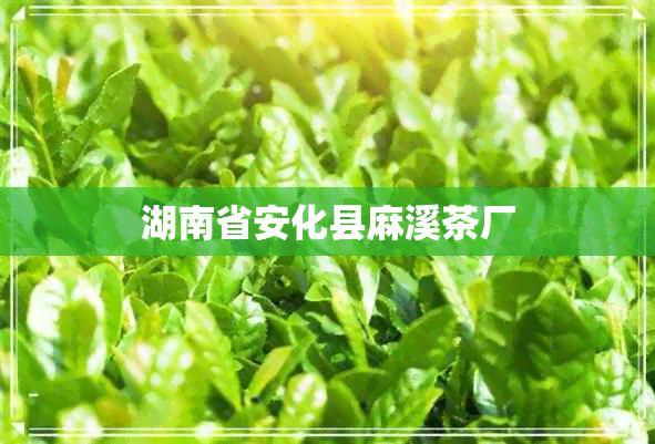 湖南省安化县麻溪茶厂