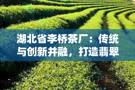 湖北省李桥茶厂：传统与创新并融，打造翡翠茶的领导