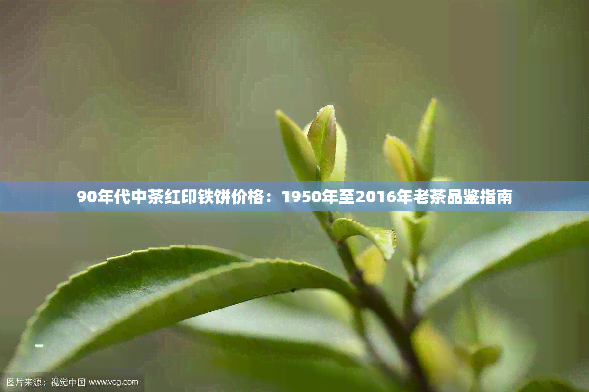 90年代中茶红印铁饼价格：1950年至2016年老茶品鉴指南