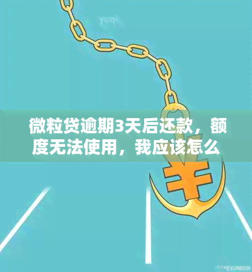  微粒贷逾期3天后还款，额度无法使用，我应该怎么办？