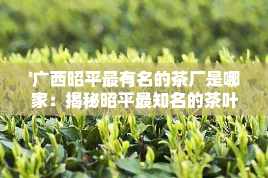 '广西昭平最有名的茶厂是哪家：揭秘昭平最知名的茶叶生产企业'