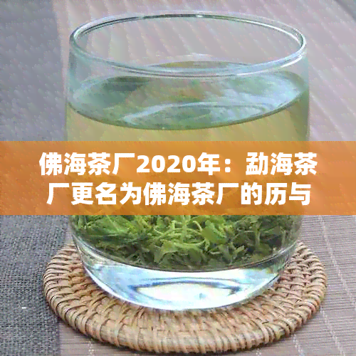 佛海茶厂2020年：勐海茶厂更名为佛海茶厂的历与现状