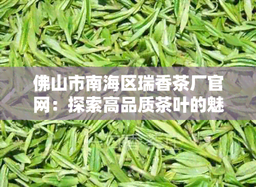 佛山市南海区瑞香茶厂官网：探索高品质茶叶的魅力，品味中国茶文化的精髓