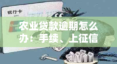 农业贷款逾期怎么办：手续、上、后果一网打尽！