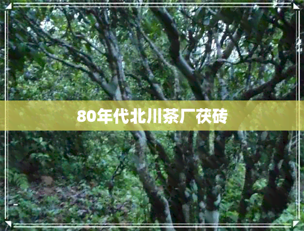 80年代北川茶厂茯砖