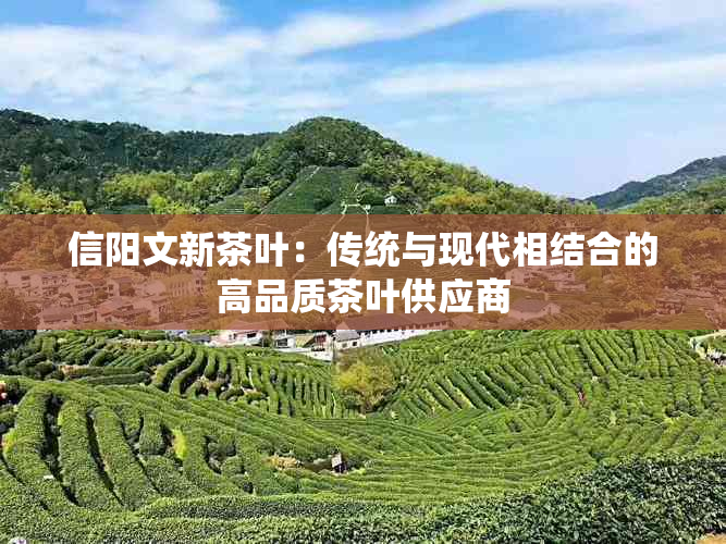 信阳文新茶叶：传统与现代相结合的高品质茶叶供应商