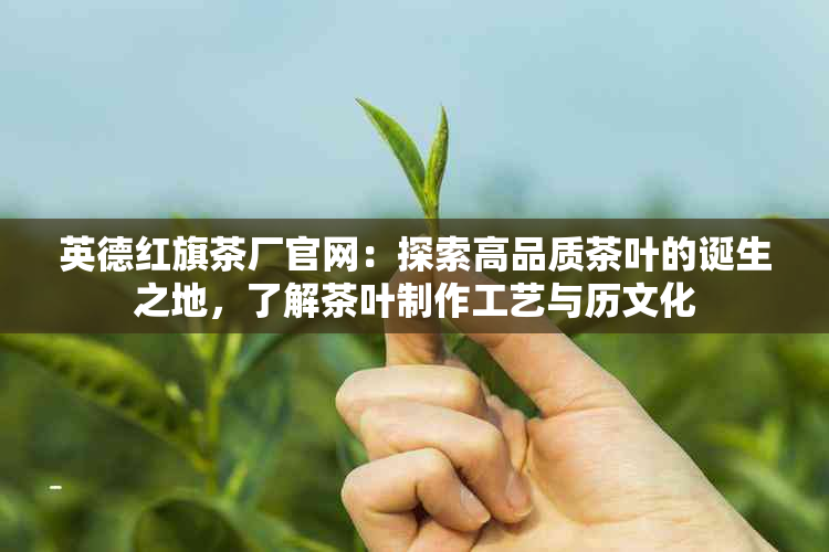 英德红旗茶厂官网：探索高品质茶叶的诞生之地，了解茶叶制作工艺与历文化