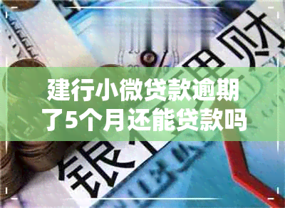 建行小微贷款逾期了5个月还能贷款吗