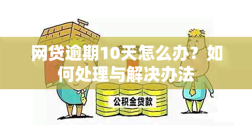 网贷逾期10天怎么办？如何处理与解决办法