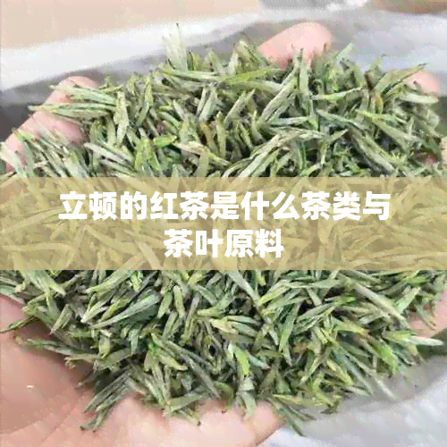 立顿的红茶是什么茶类与茶叶原料