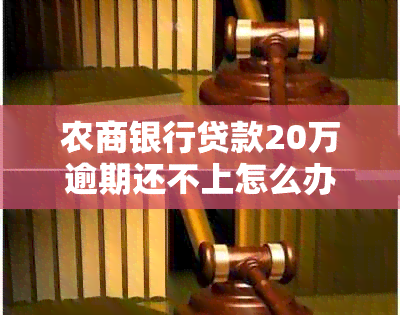 农商银行贷款20万逾期还不上怎么办？