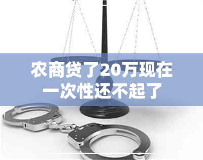 农商贷了20万现在一次性还不起了