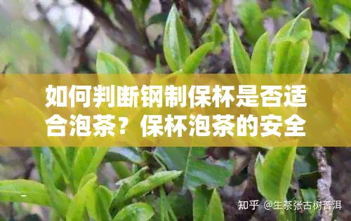 如何判断钢制保杯是否适合泡茶？保杯泡茶的安全性探讨