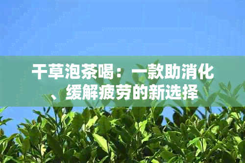 干草泡茶喝：一款助消化、缓解疲劳的新选择