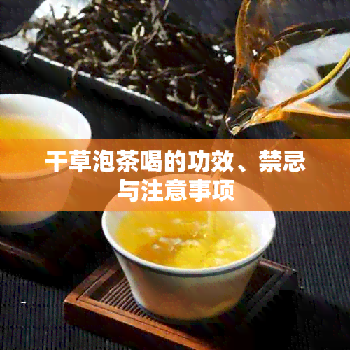 干草泡茶喝的功效、禁忌与注意事项