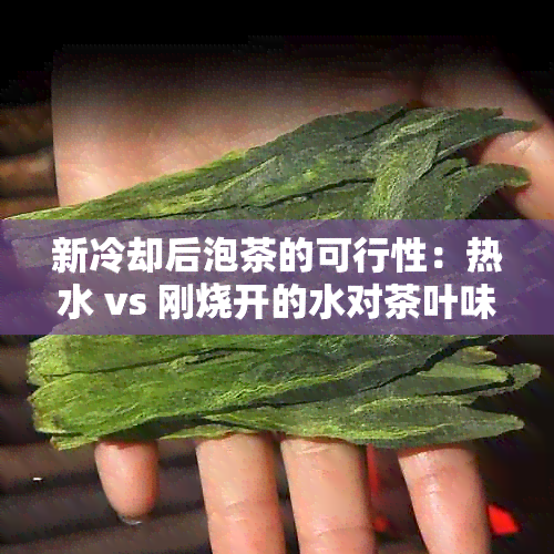 新冷却后泡茶的可行性：热水 vs 刚烧开的水对茶叶味道的影响