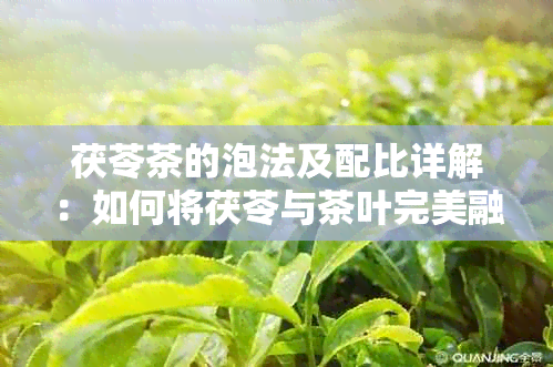 茯苓茶的泡法及配比详解：如何将茯苓与茶叶完美融合？