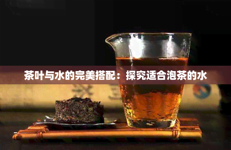 茶叶与水的完美搭配：探究适合泡茶的水