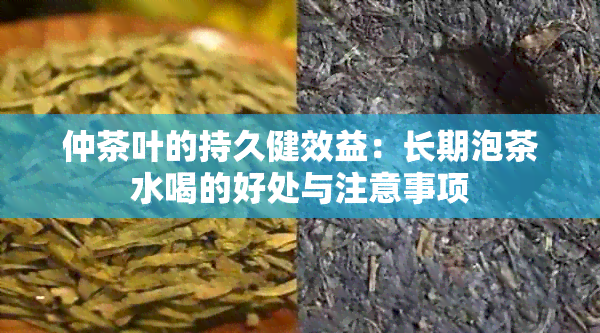 仲茶叶的持久健效益：长期泡茶水喝的好处与注意事项