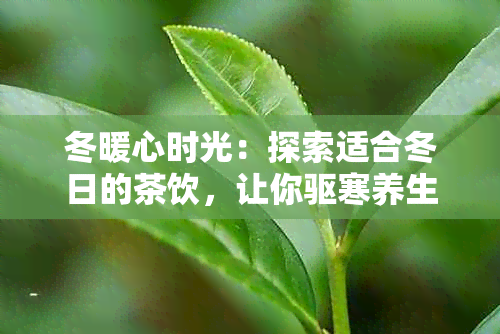 冬暖心时光：探索适合冬日的茶饮，让你驱寒养生