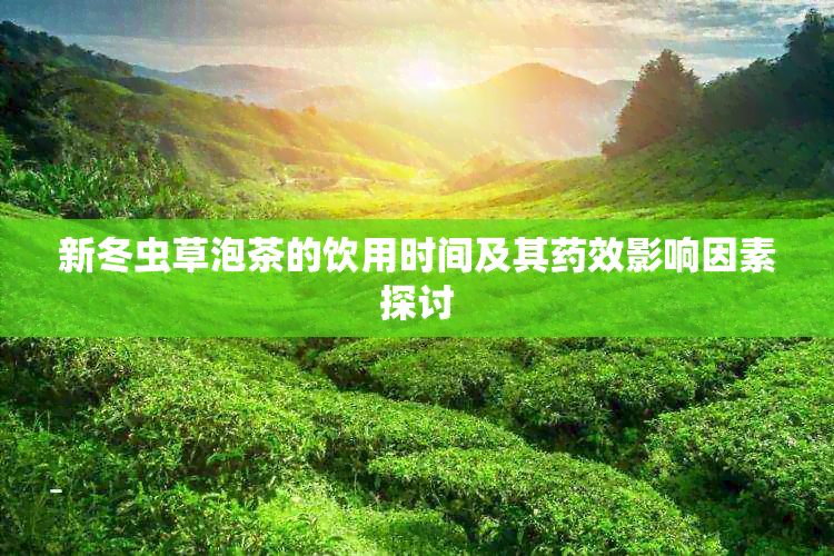 新冬虫草泡茶的饮用时间及其效影响因素探讨