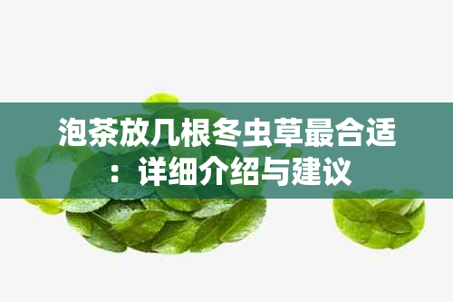 泡茶放几根冬虫草最合适：详细介绍与建议