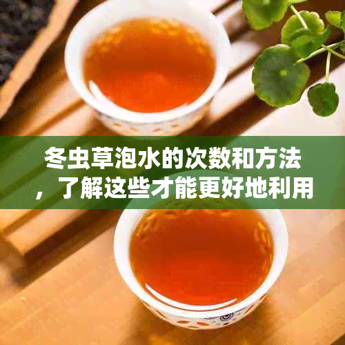 冬虫草泡水的次数和方法，了解这些才能更好地利用它的功效