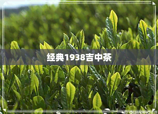 经典1938吉中茶