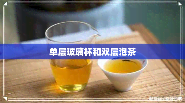 单层玻璃杯和双层泡茶