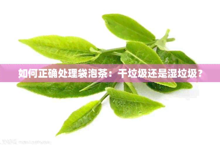 如何正确处理袋泡茶：干垃圾还是湿垃圾？