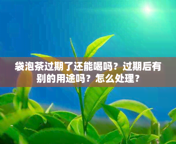 袋泡茶过期了还能喝吗？过期后有别的用途吗？怎么处理？