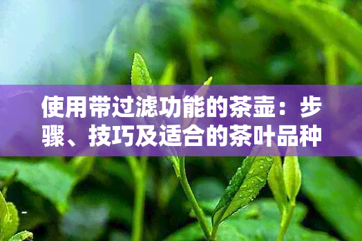 使用带过滤功能的茶壶：步骤、技巧及适合的茶叶品种指南