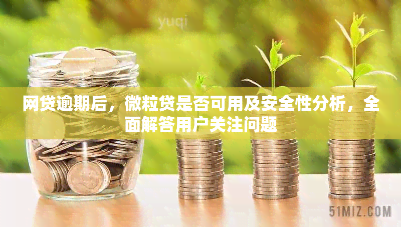 网贷逾期后，微粒贷是否可用及安全性分析，全面解答用户关注问题