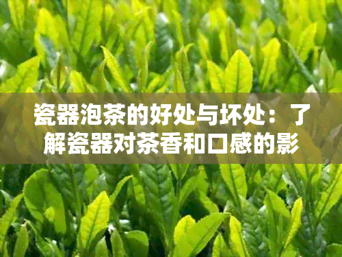 瓷器泡茶的好处与坏处：了解瓷器对茶香和口感的影响