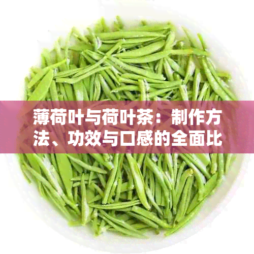 薄荷叶与荷叶茶：制作方法、功效与口感的全面比较