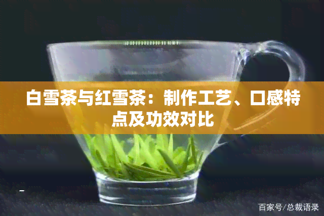 白雪茶与红雪茶：制作工艺、口感特点及功效对比