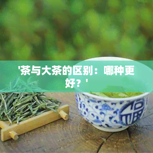 '茶与大茶的区别：哪种更好？'